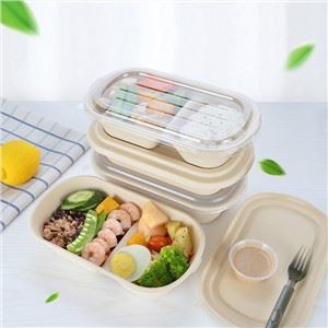 Bento Box descartável com tampa
