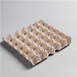 Fabricantes de bandejas de polpa de ovos