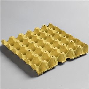 Caixas de ovos de polpa de papel