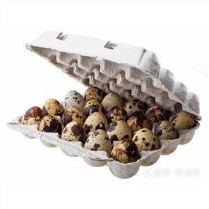 Caixas de ovos de codorna de polpa