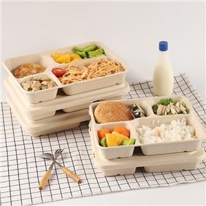 Recipientes para alimentos com bagaço de cana