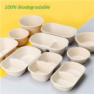 Lancheira Descartável Biodegradável