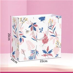 Saco de presente de papel impresso personalizado